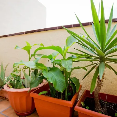 B102 La Finca Chayofa, Terrace, Tv Apartment *